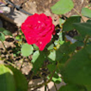 Meet your Posher, Kari